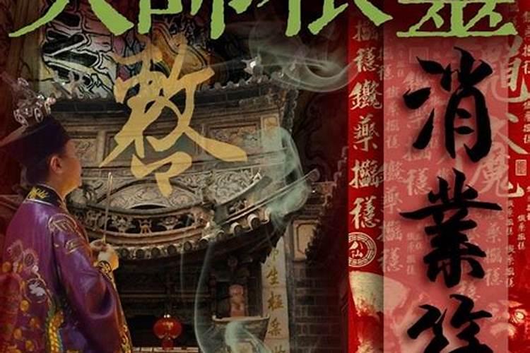 生肖鸡在2024的学业怎么样