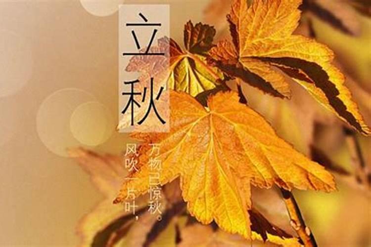 二月二龙抬头出生的人命硬吗 龙抬头出生的人的命运