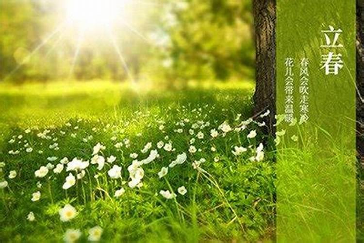 属相按打春还是按春节算,属相是按过年算还是立春算