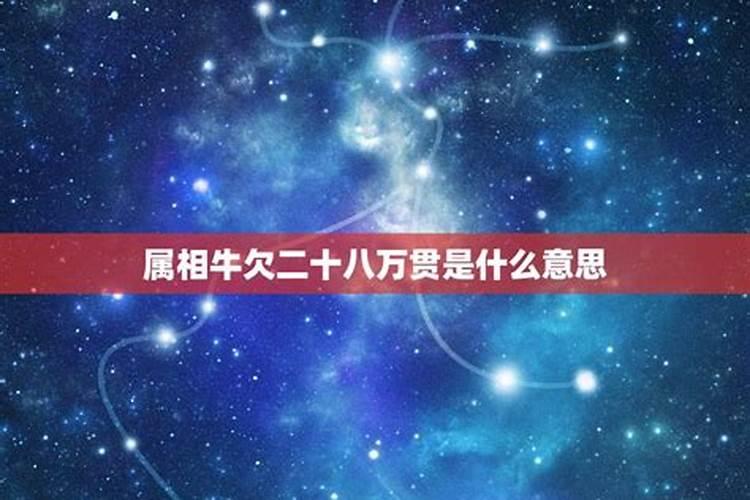 日柱童子代表什么