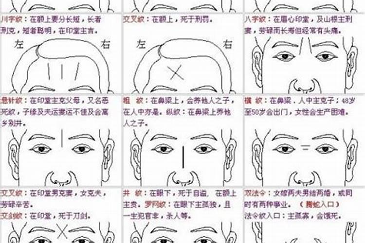 免费八字排大运分析,八字大运怎么排