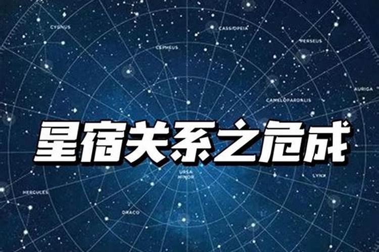 属虎2025年犯太岁怎么化解