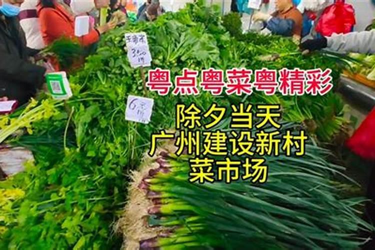 红楼梦第十七回主要内容用现代文概括