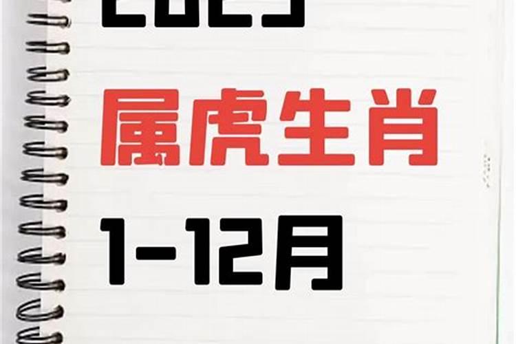 属马和属羊的人合不合