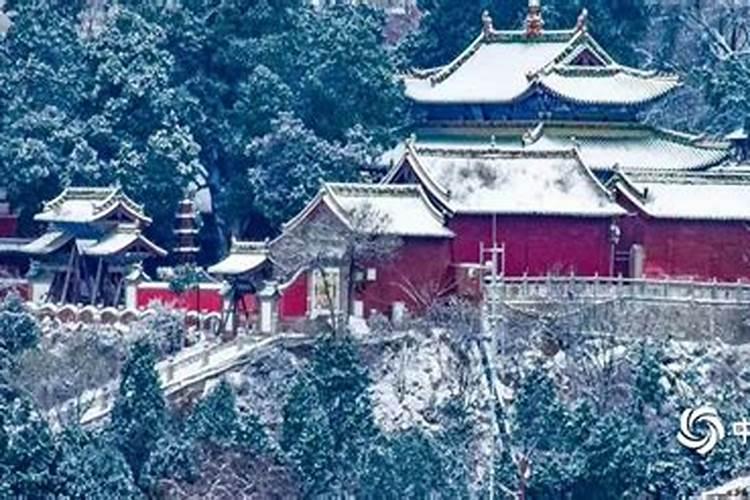 立冬吃水饺吗