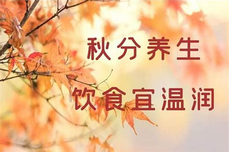 1984年在2025年运势