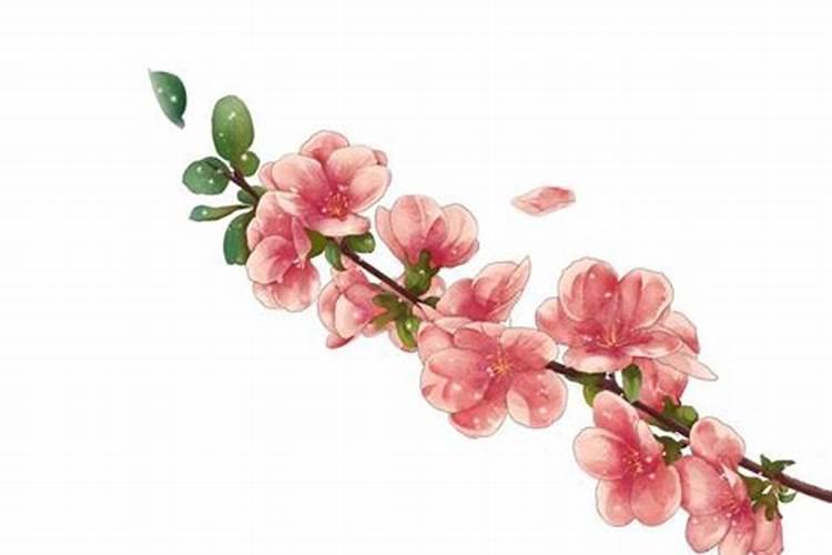 经常梦见同一个异性是喜欢他吗