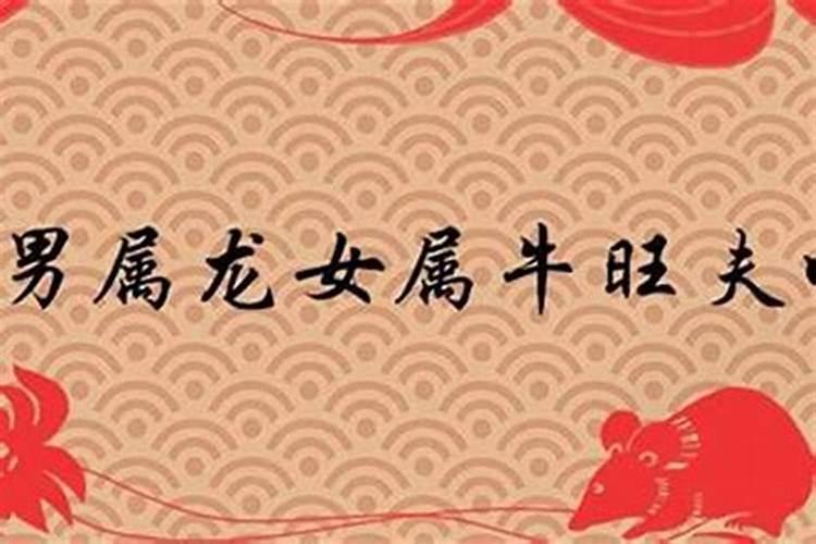 男属龙女属牛,女比男大三岁般配吗？