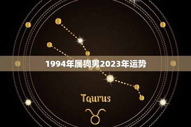 梦见以前养的已死去的小狗抱着我哭