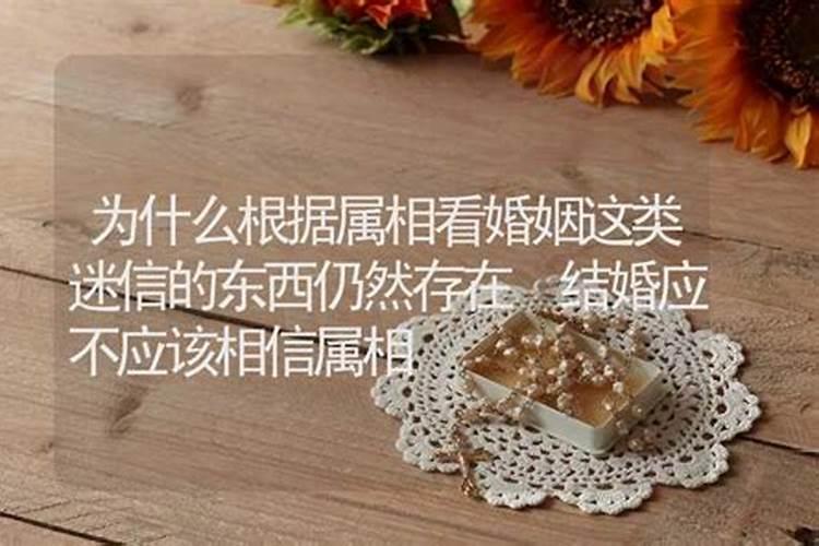 婚配该不该信属相