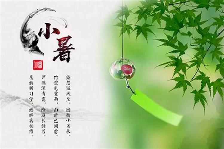 家乡的风俗冬至包饺子