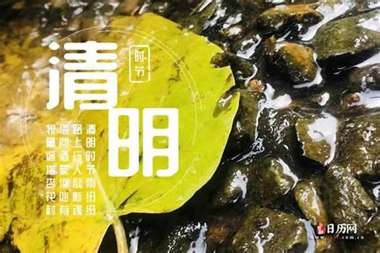 梦见牛攻击自己是什么预兆梦见牛攻击我是什么意思
