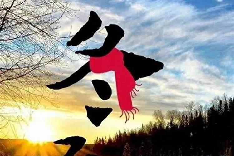 2025年鸡生肖运势如何