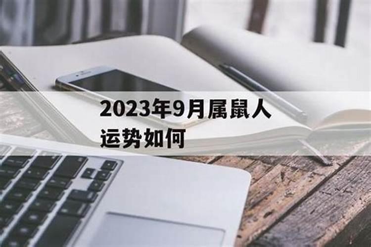 2025生肖鼠的运势大全 属鼠人2025年每月运势