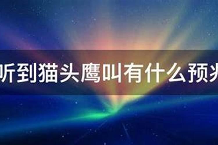 87女兔2025年每月运势