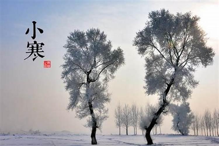 立冬的风俗有哪些？