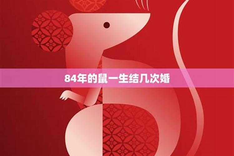 1984年十一月出生的鼠,1984年农历11月得属鼠