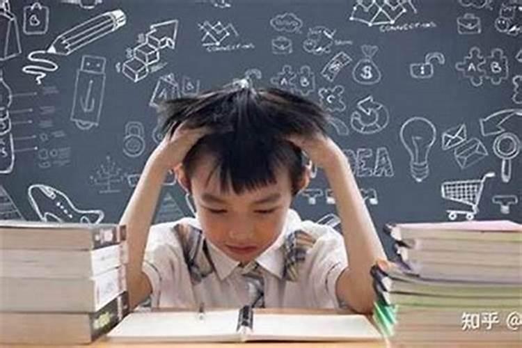 85年牛女2025年运势及每月的运程