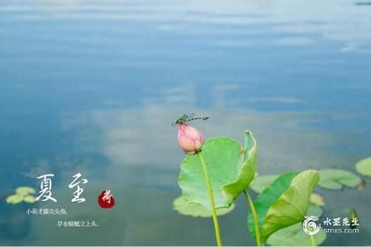 夏至出生的虎宝宝好不好 做最好的自己？