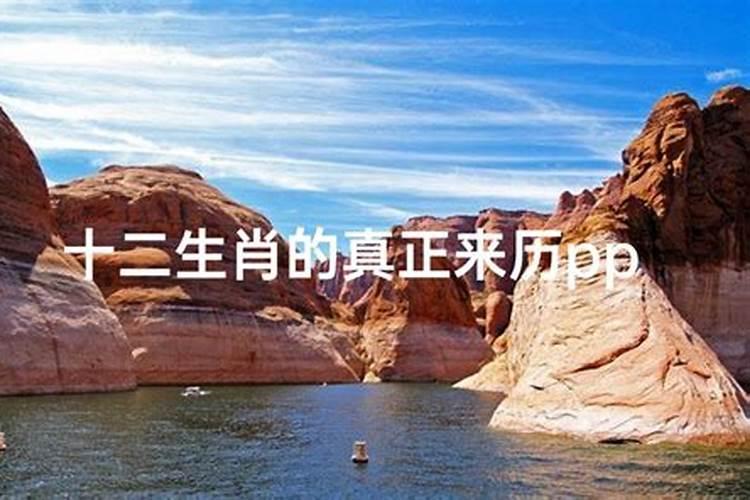 属鸡男的最佳配偶是什么,属鸡男最佳婚配前十名属相