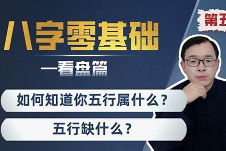 怎么查询自己的日干