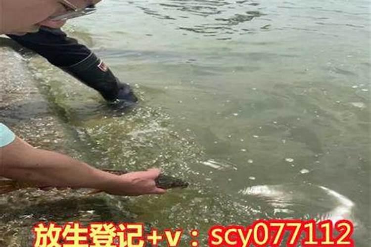 结婚两人的生辰八字怎么算,生辰八字怎么算结婚好日子？