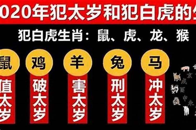 老鼠的太岁是谁,属鼠人这几年一直犯太岁