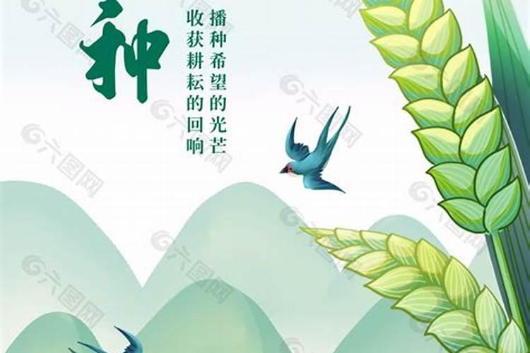 芒种和夏至是在什么时候 芒种和夏至是几月几日