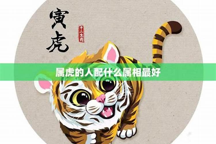 属虎的人和什么属相的人最配