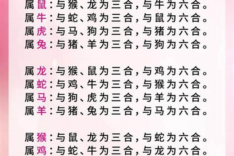 三合和六个合哪个最好