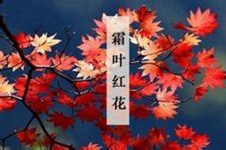 为什么属猪人婚姻不顺 命里带二婚是不是真的？