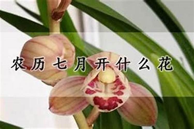 双鱼男与水瓶女合适吗双鱼男最怕水瓶女什么