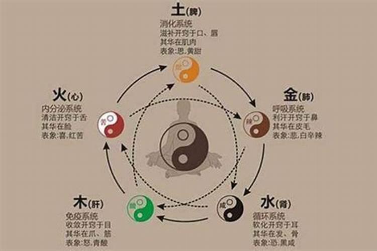 如何通过八字看健康状况