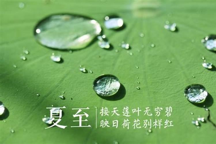 夏至有雨三伏热是什么意思