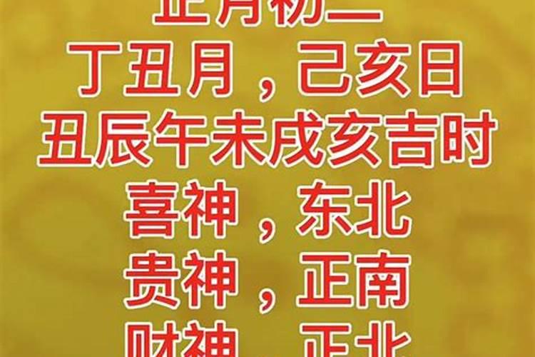 农历2001年正月初二生亥时生的人的八字