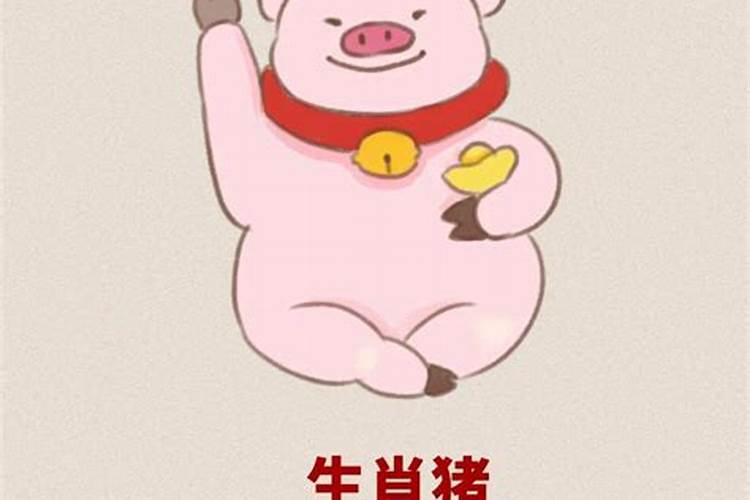 2025属狗犯太岁吗