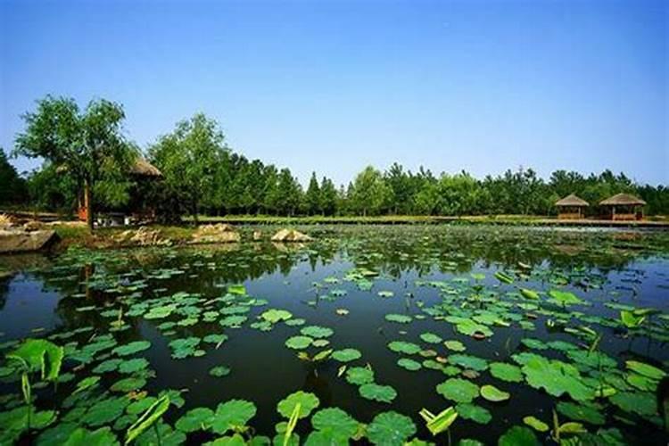 立夏的五种习俗