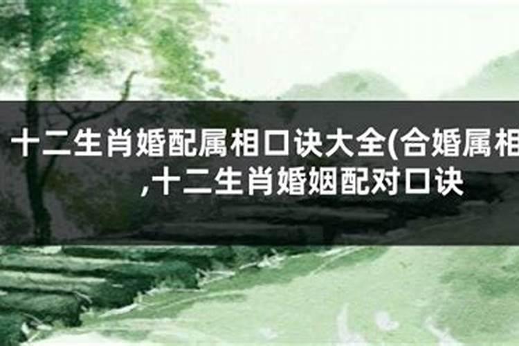生肖不和的婚姻如何化解