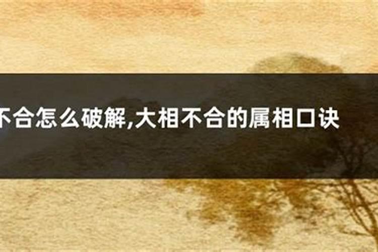 婚配属相相克怎么办,属相相克如何化解