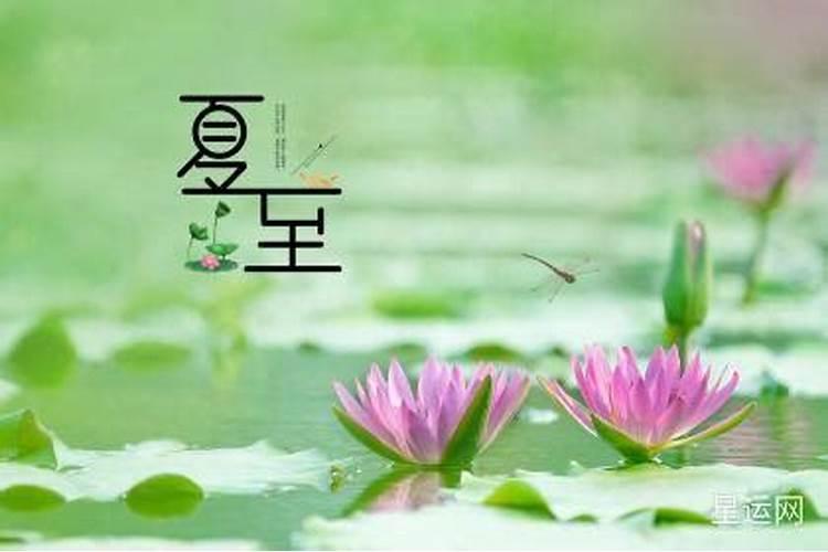 今年夏至是几月几日2023年