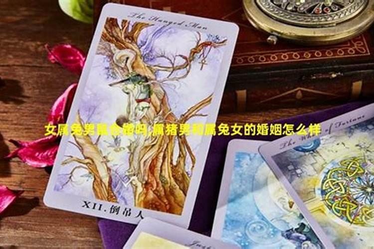 2024夏至的具体时间是什么时候具体是几月几日几点几分
