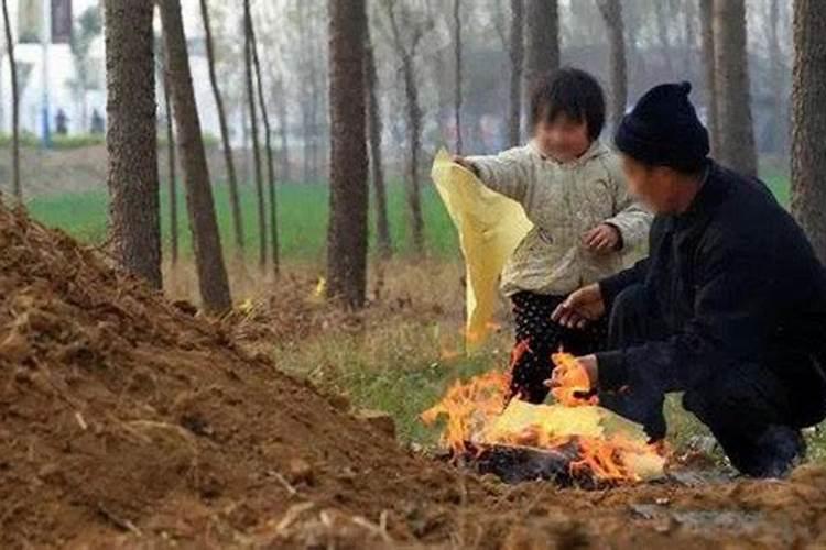 属马的遇到鼠年佩戴什么能化太岁