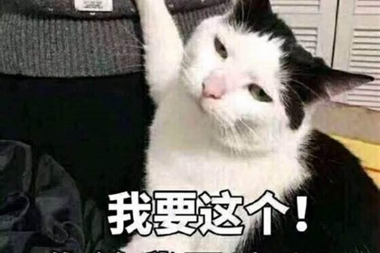 沈从文腊八粥选自哪本书？
