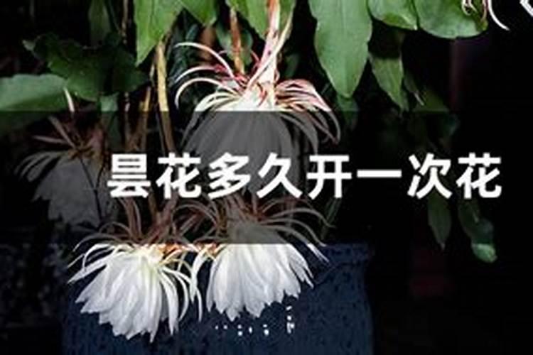2025年8月25号是什么日子