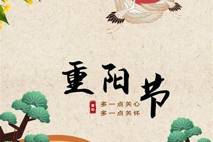 上海过年有什么好玩的地方