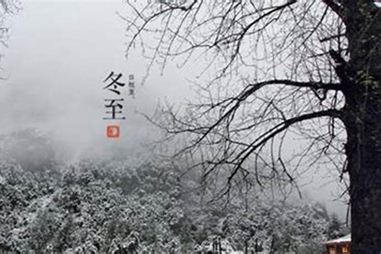 梦见美女入怀的预兆