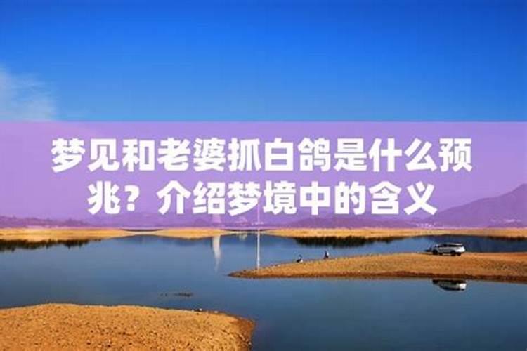 梦见前妻来找我的预兆