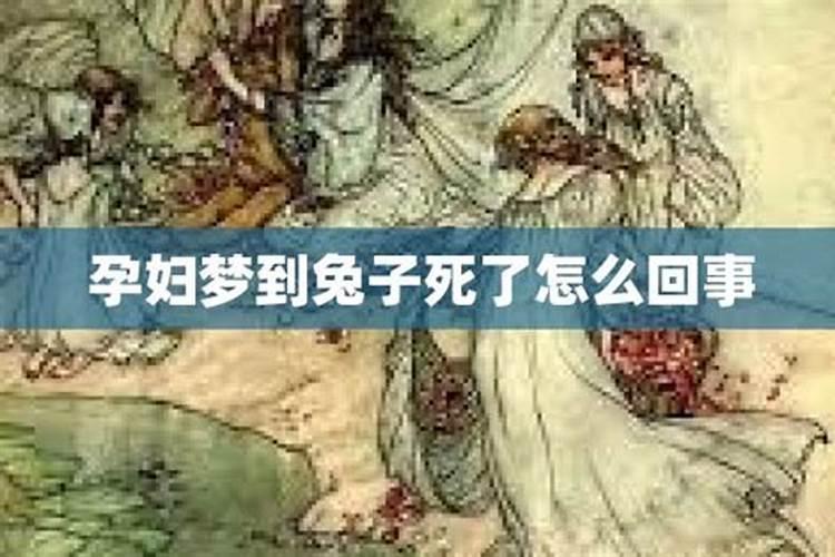 做梦梦到杀猫不见血？