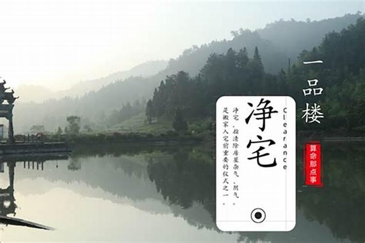 什么是净宅