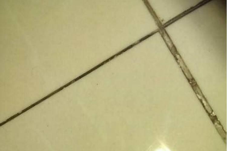 梦见厕所里全是白色虫子的预兆